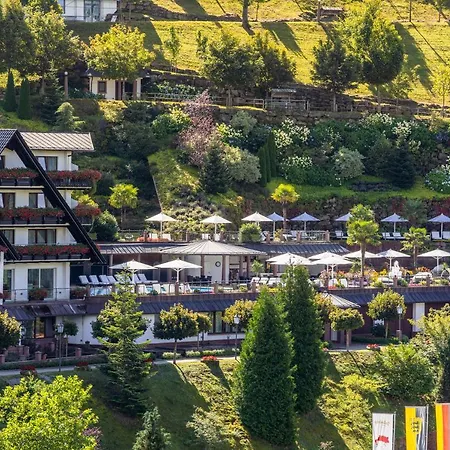 Hotel Dollenberg 5*