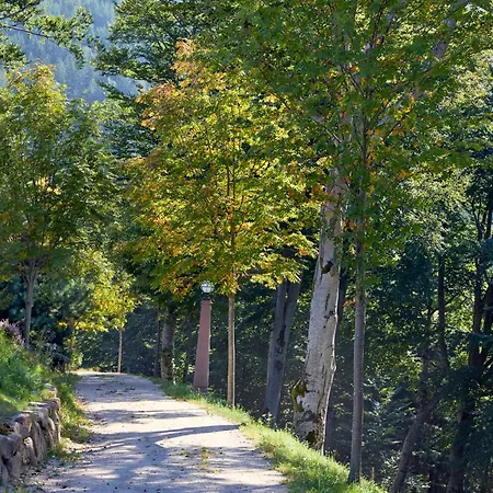 Szálloda Dollenberg 5*