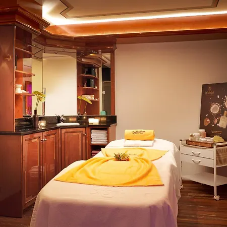 Szálloda Dollenberg 5*