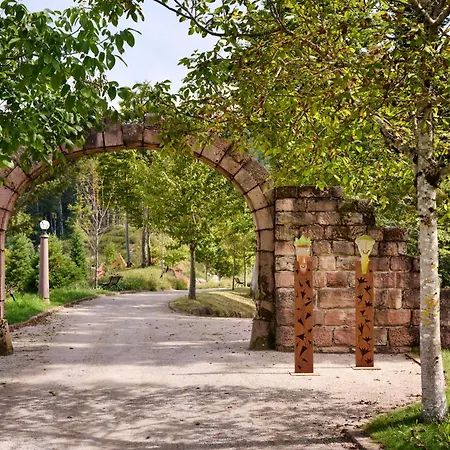 Отель Dollenberg 5*