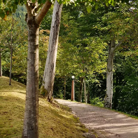 Ξενοδοχείο Dollenberg 5*