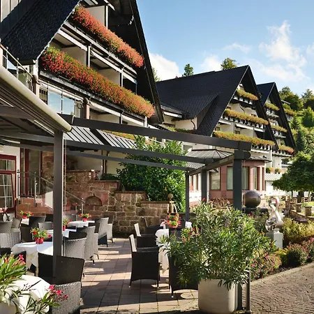 Hotel Dollenberg 5*