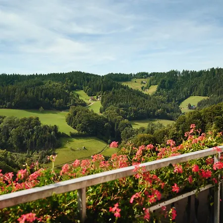 Dollenberg Hotel Bad Peterstal-Griesbach