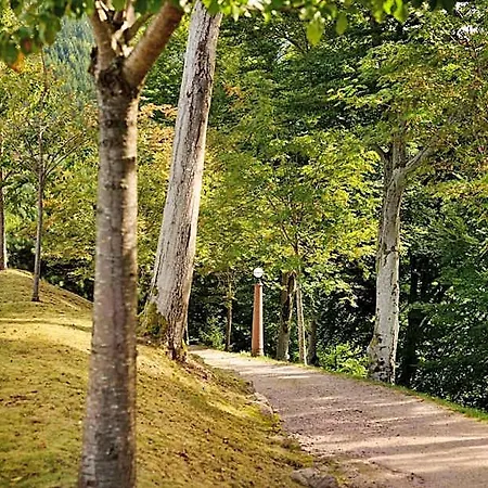 Dollenberg 5* Bad Peterstal-Griesbach
