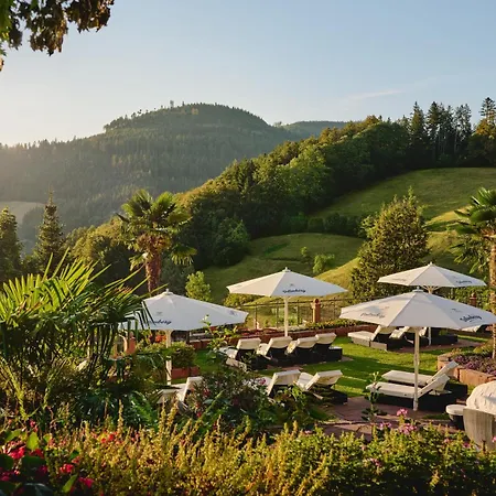 Dollenberg Hotel 5*